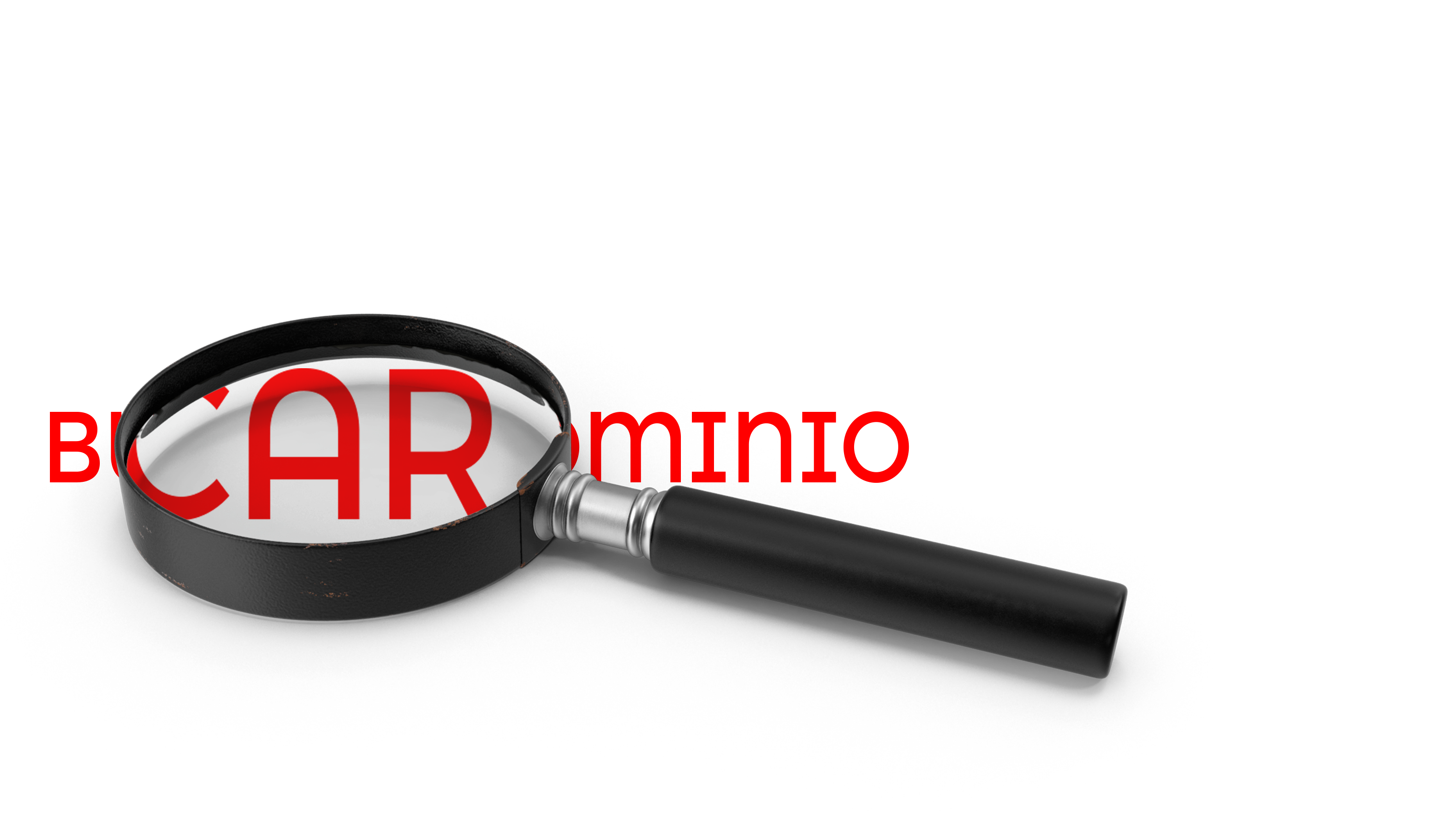 como_seleccionar_un_dominio