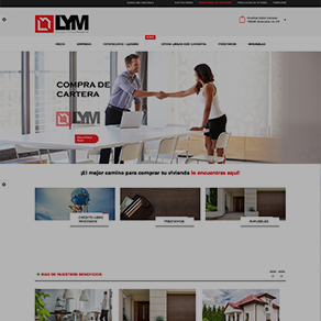 Grupo Empresarial L y M
